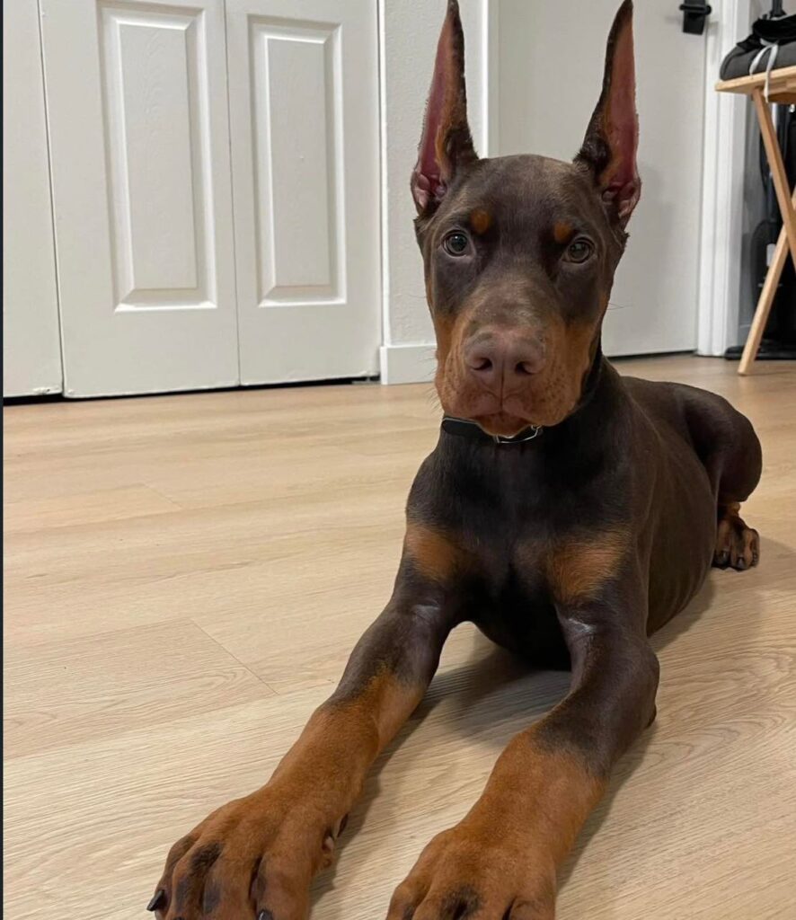 WhatsApp Image 2026-02-05 at 01.21.11